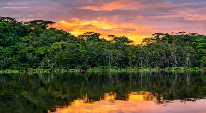 Background para Norte