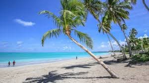 Mini Nordeste - Especial Semana Santa