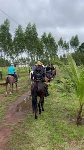 Haras FC 3 Estrelas - Santa Izabel