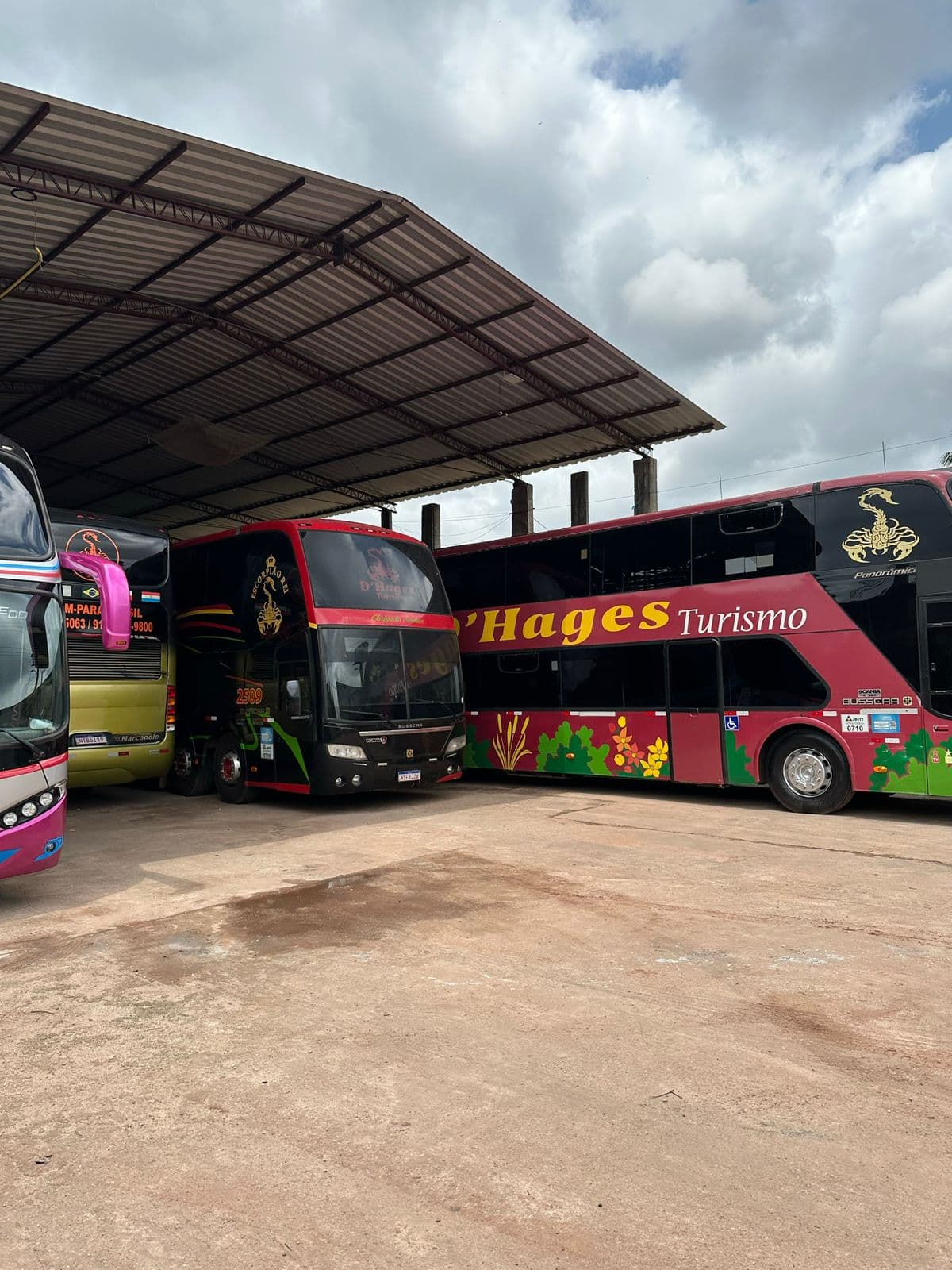 Background para Fretamento